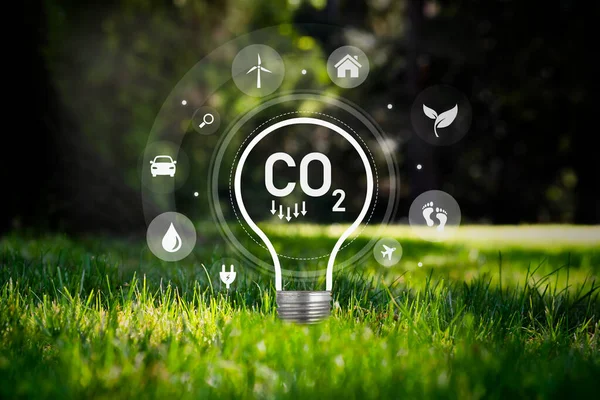 Miljöskydd Förnybara Hållbara Energikällor Koldioxid Begreppet Glödlampa — Stockfoto
