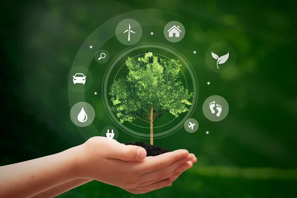 Hållbara Energikällor Ekologi Koncept Med Träd Händerna — Stockfoto