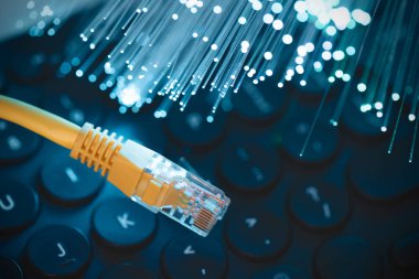 İnternet kablosu, fiber optik konsept. Yüksek hızlı fiber optik internet kavramı