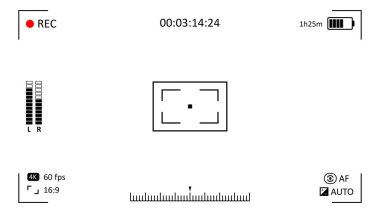 Kamera ekran örtüsü. Zaman kodu ve kayıt göstergesi görüntüleyici