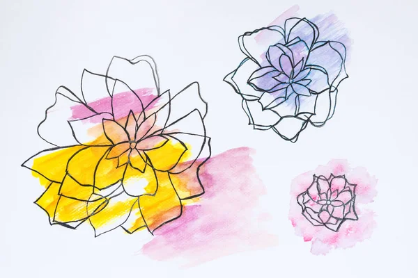 Watercolor Painting Vibrant Color Three Flowers Blooming Various Size White — Stock Photo, Image