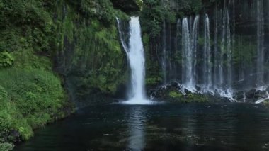 Yosun tutmuş bir uçurumdan akan şelale, canlı yeşil yapraklar ve kaya oluşumlarıyla çevrili geniş, sakin bir havuza akıyor.