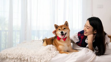 Asyalı neşeli genç kadın Shiba Inu köpeğiyle gevşer, kırmızı papyon takar, rahat bir yatakta.