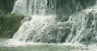 Güzel tropikal ormanın derin şelalesinin her adımına doğru hızla akıyor.