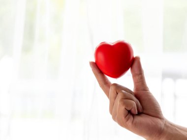 Küçük kırmızı bir kalbi tutan bir elin yakın çekimi, sevgiyi, ilgiyi, sağlığı ve parlak bir geçmişe sahip şefkati simgeliyor.