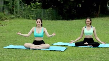 İki kadın çimlerin üzerinde meditasyon yapıyor, minderlerin üzerinde bacak bacak üstüne atıyor, doğada Yoga farkındalığı ve rahatlama pratiği yapıyor.