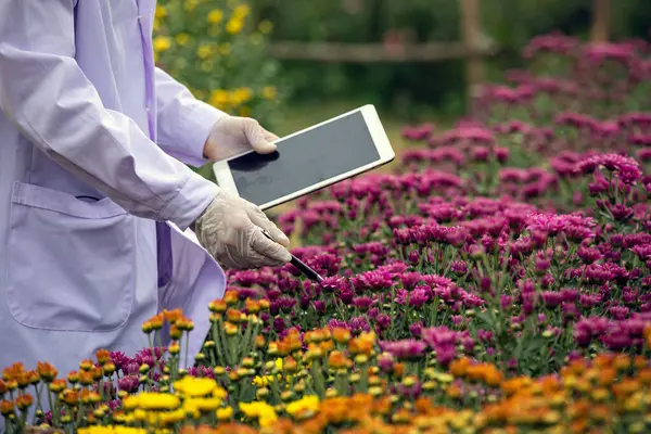Bir bilim adamının tarımsal araştırma ve veri toplama için bir tablet ve stil kullanarak çiçek açan çiçekleri incelediği yakın plan.