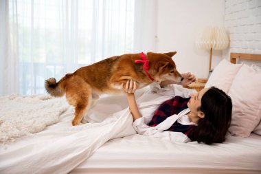 Genç kadın yatakta uzanıp Shiba Inu köpeğiyle oynuyor. Kapalı alanda kırmızı kurdele takıyor.