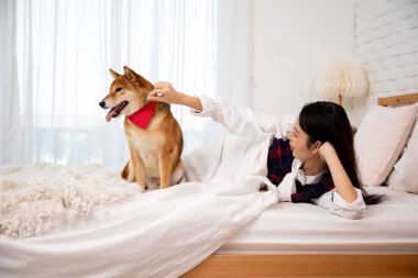 Genç bir kadın yatakta uzanmış bir Shiba Inu köpeğini okşuyor. Kırmızı bandana takıyor ve mutlu bir ifade takınıyor.