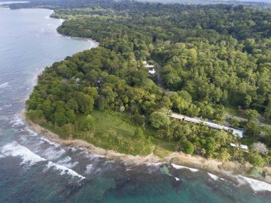 Punta Cocles plajı, Limon, Kosta Rika