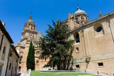 Katedral Salamanca, castilla y leon, İspanya