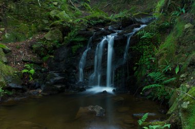 Belaustegi ormanlarında çağlayan, Gorbeia doğal parkı, Bizkaia, Bask ülkesi, İspanya