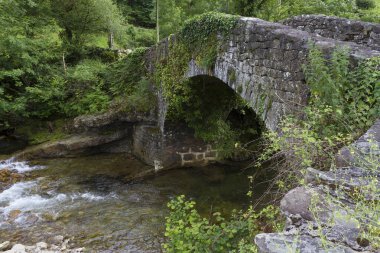 Rucabao 'daki taş köprü, Vega de Pas, Cantabria, İspanya