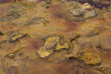 Rio Tinto baharı, Las Minas de RioTinto, Huelva, Endülüs, İspanya