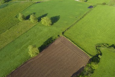 Ülke Arnuero, Cantabria, İspanya