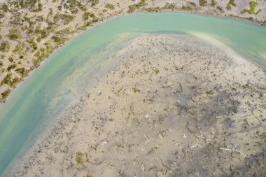 Rubin bataklığı, Oyambre doğal parkı, Cantabria, İspanya