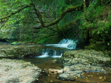 Las Pisas 'ta Şelale, Las Merindades, Burgos, Castilla y Leon, İspanya