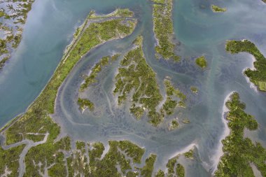 Marismas de Santona, Victoria y Joyel Doğal Parkı, Cantabria, İspanya