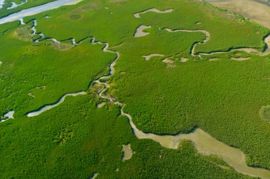 Joyel bataklığı, Ada, Cantabria, İspanya