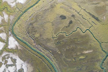 Mago Doğal Rezervi, Ayamonte, Endülüs, İspanya