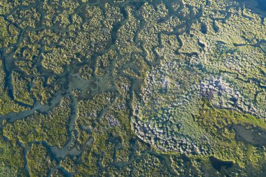 Ria Formosa Doğal Parkı Olhao, Algarve, Portekiz