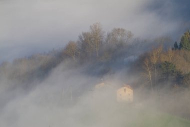 Orendain 'de sis, Gipuzkoa, İspanya