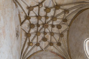 Salamanca Üniversitesi, Castilla y Leon, İspanya