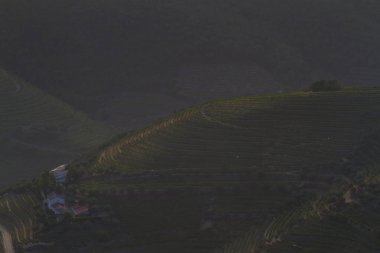Görüntü Sao Leonardo de Galafura gözcüsü, Douro Vadisi, Portekiz