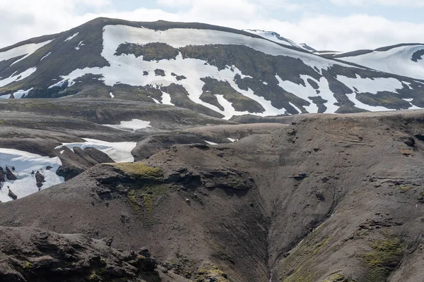アイスランドの素晴らしい野生動物の風景 — ストック写真