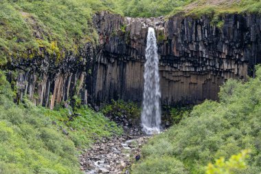 Svartifoss Şelalesi Güneydoğu İzlanda 'daki Skaftafell Doğa Rezervi' nde yer almaktadır.