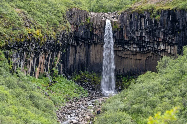 Cascata Svartifoss Trova Nella Riserva Naturale Skaftafell Nel Sud Est — Foto Stock