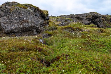 İzlanda 'nın görkemli doğasına yolculuk