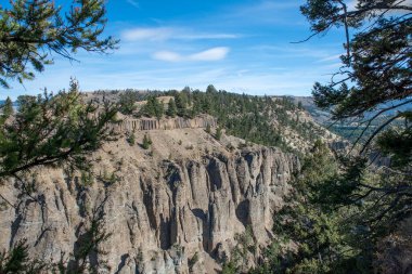 Yellowstone Ulusal Parkı, Wyoming, Amerika Birleşik Devletleri 'ndeki muhteşem vahşi manzara.