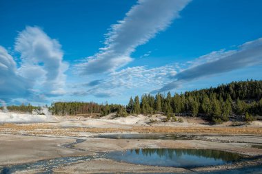 Yellowstone Ulusal Parkı, Wyoming, Amerika Birleşik Devletleri 'ndeki muhteşem vahşi manzara.