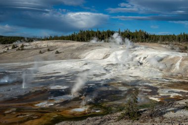 Yellowstone Ulusal Parkı, Wyoming, Amerika Birleşik Devletleri 'ndeki muhteşem vahşi manzara.