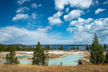 Yellowstone Ulusal Parkı, Norris Gayzer Havzası, Wyoming, Amerika Birleşik Devletleri