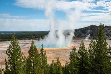 Yellowstone Ulusal Parkı, Norris Gayzer Havzası, Wyoming, Amerika Birleşik Devletleri