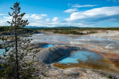 Yellowstone Ulusal Parkı, Norris Gayzer Havzası, Wyoming, Amerika Birleşik Devletleri