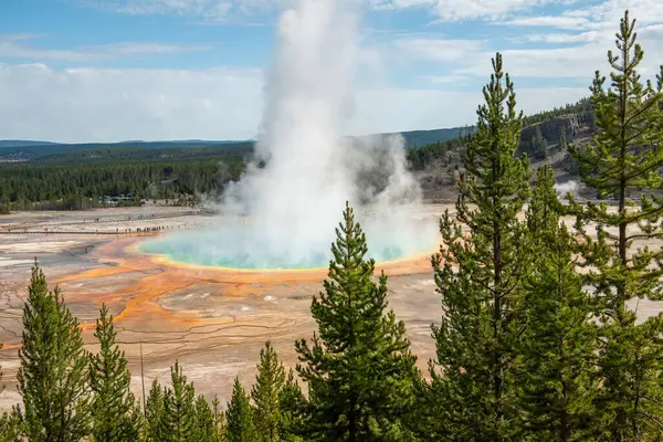 Yellowstone Ulusal Parkı, Norris Gayzer Havzası, Wyoming, Amerika Birleşik Devletleri