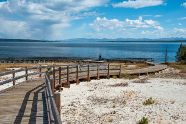 Yellowstone Ulusal Parkı, Norris Geyser Havzası, Wyoming, Amerika Birleşik Devletleri