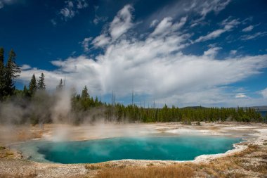 Yellowstone Ulusal Parkı, Norris Geyser Havzası, Wyoming, Amerika Birleşik Devletleri