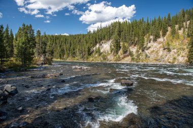 Yellowstone Ulusal Parkı, Norris Geyser Havzası, Wyoming, Amerika Birleşik Devletleri