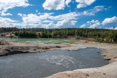 Yellowstone Ulusal Parkı, Norris Geyser Havzası, Wyoming, Amerika Birleşik Devletleri