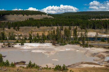 Yellowstone Ulusal Parkı, Norris Geyser Havzası, Wyoming, Amerika Birleşik Devletleri