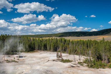 Yellowstone Ulusal Parkı, Norris Geyser Havzası, Wyoming, Amerika Birleşik Devletleri