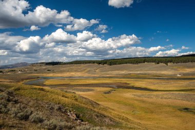 Yellowstone Ulusal Parkı, Norris Geyser Havzası, Wyoming, Amerika Birleşik Devletleri