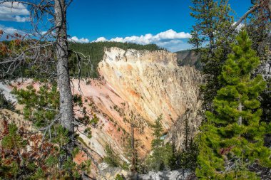 Yellowstone Ulusal Parkı, Norris Geyser Havzası, Wyoming, Amerika Birleşik Devletleri