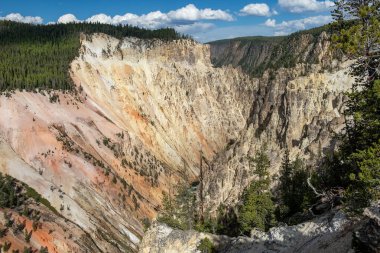 Yellowstone Ulusal Parkı, Norris Geyser Havzası, Wyoming, Amerika Birleşik Devletleri
