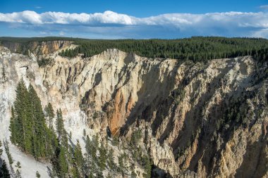Yellowstone Ulusal Parkı, Norris Geyser Havzası, Wyoming, Amerika Birleşik Devletleri