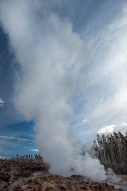Yellowstone Ulusal Parkı, Norris Geyser Havzası, Wyoming, Amerika Birleşik Devletleri